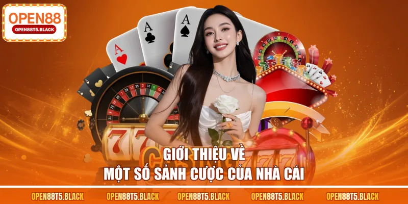 Giới thiệu về một số sảnh cược của nhà cái