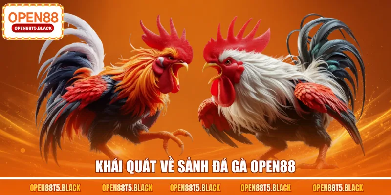 Khái quát về sảnh đá gà OPEN88