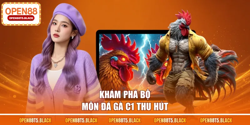 Khám phá bộ môn đá gà C1 thu hút